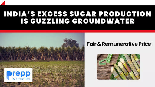 Sugar Production