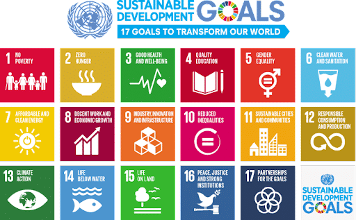 Sustainable Development Goals (SDGs)