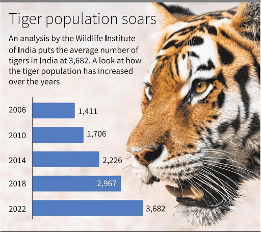 Tiger Population
