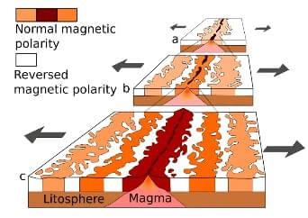 Palaeomagnetism
