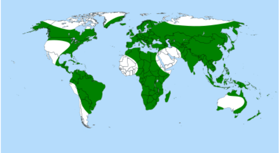 Distribution of Utricularia