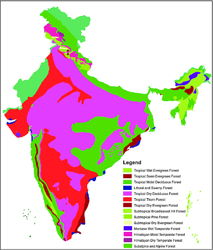 Types of Indian Forests