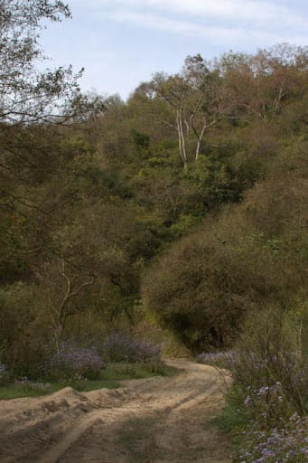 Lalwan Community Reserve