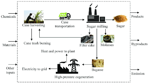 Cogeneration using Biomass