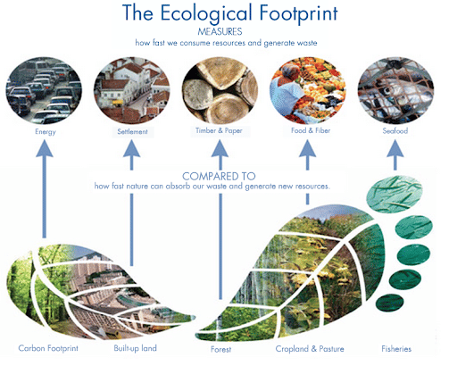 Ecological Footprint