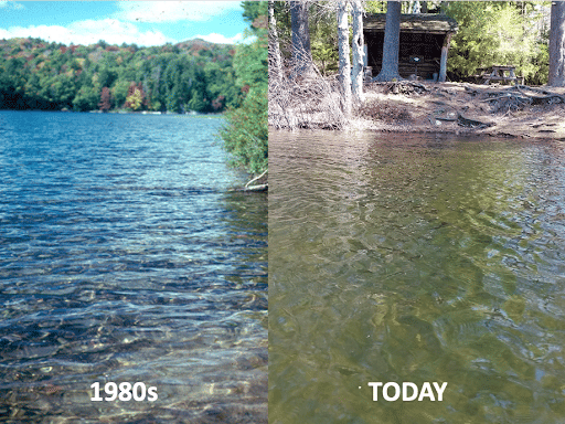An Anthropogenic Acidified Lake