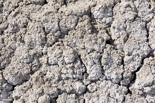 Saline Soil