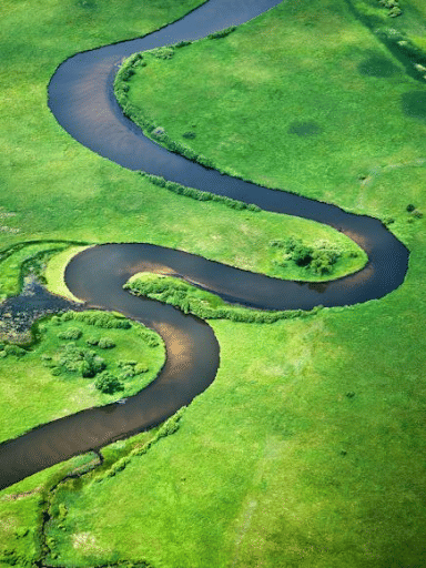 Inland Wetlands - Environment Notes