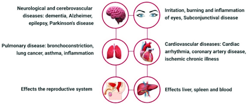 Effects of Smog