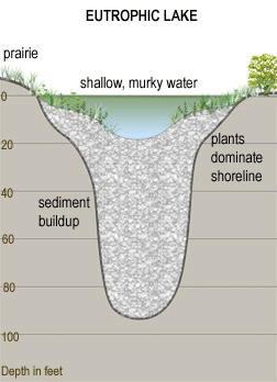 Eutrophic Lake