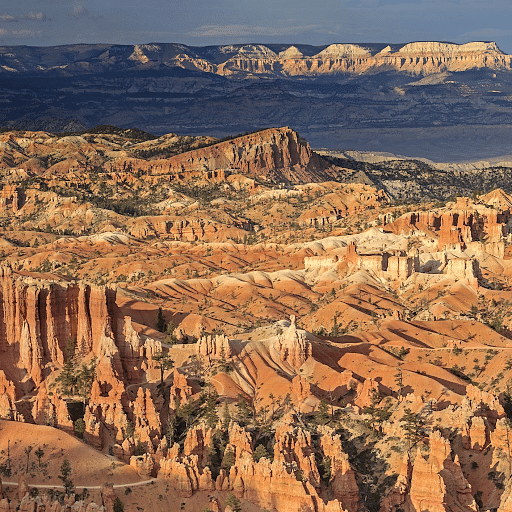 Continent Formation by Epeirogenic Processes