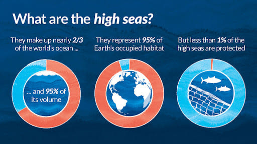 High Seas