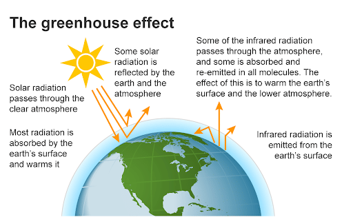 Greenhouse Effect
