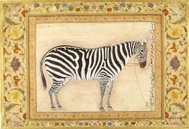 Zebra Painting by Jahangir