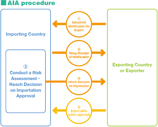 AIA Procedure