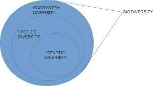 Genetic Diversity