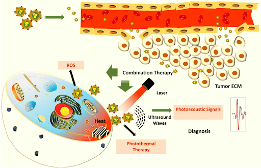 cancer cells