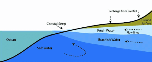 Zones of Aquatic Ecosystem
