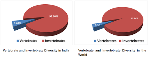 Diversity of Vertebrates and Invertebrates