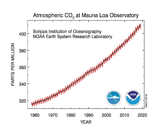 Carbon Dioxide Levels