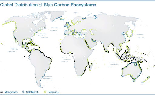 Distribution of Blue Carbon Ecosystem