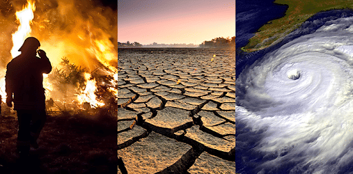 Impact of Climate Change