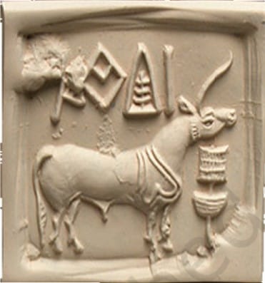 Unicorn Seal *11th Fine Arts NCERT