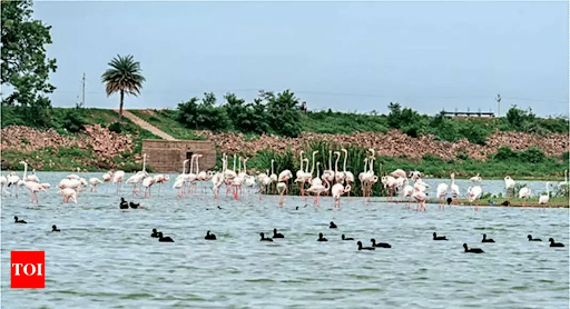 Ameenpur Lake