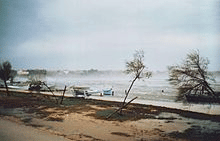Hurricane Speed Bora Winds