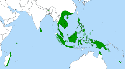 Global Distribution of Nepenthes