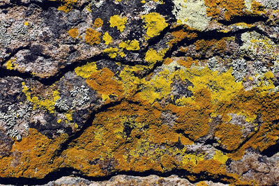 Biological weathering through chemicals released by microorganisms