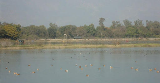 Asan Wetland Conservation Reserve