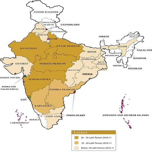 Pulses Producing States