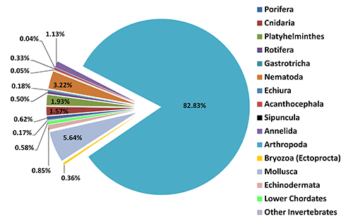 Invertebrate Diversity in India