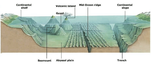 Reliefs of the Ocean