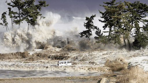 Impact of Tsunami