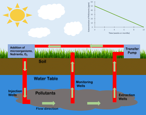 In Situ Bioremediation Technique