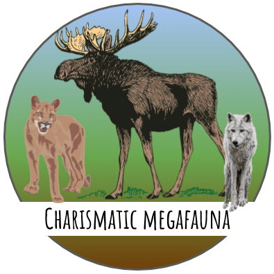 Charismatic Megafauna