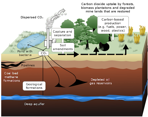 Carbon Sequestration