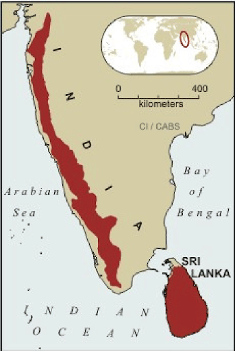 Western Ghats Biodiversity Hotspot