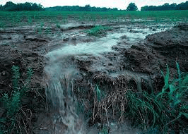 fertilizers runoff