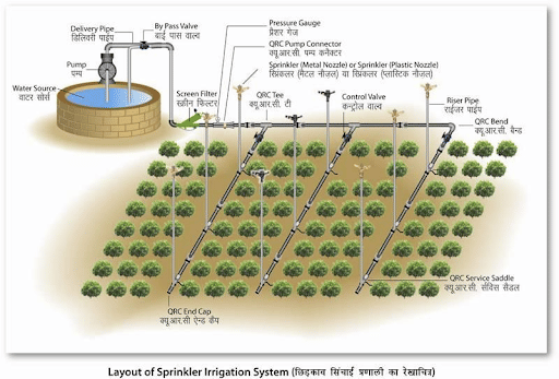 Layout of Sprinkler Irrigation System
