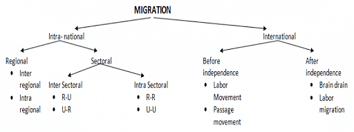 Types of Migration in India
