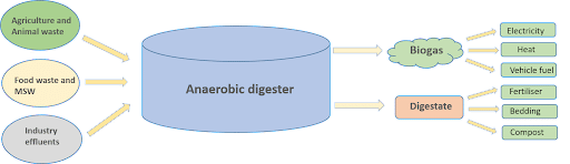 Products of Anaerobic Digestion