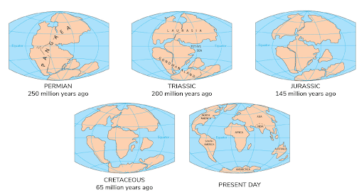The maps above shows how the distribution of continents and oceans has changed over the last 250 million years