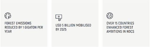 Goals of 2025
