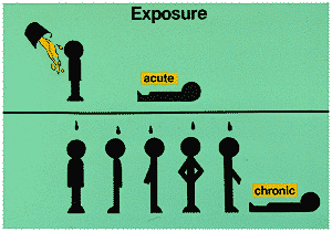 Acute And Chronic Toxicity