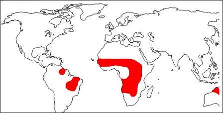 Distribution of Savannah Climate