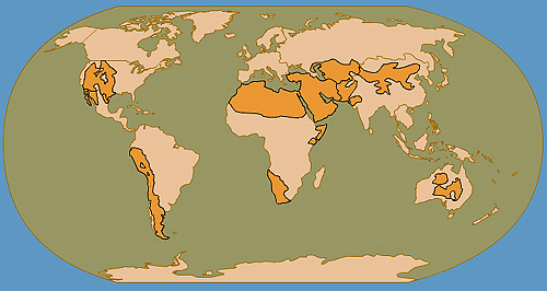 Desert Climate