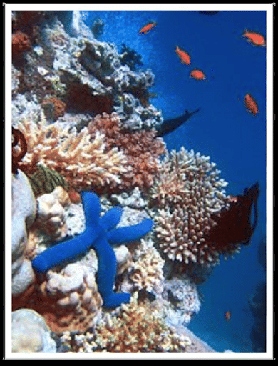 Great Barrier Reef